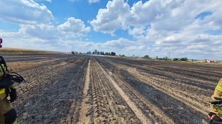 Pożar zboża i kombajnu w Sarbinowie.